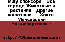 Ищу спонсора - Все города Животные и растения » Другие животные   . Ханты-Мансийский,Нижневартовск г.